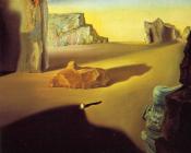 萨尔瓦多 达利 : 夜幕降临的阴影